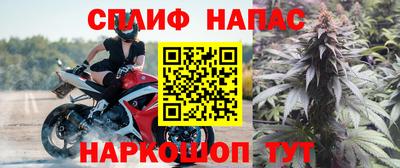 СК Лесосибирск