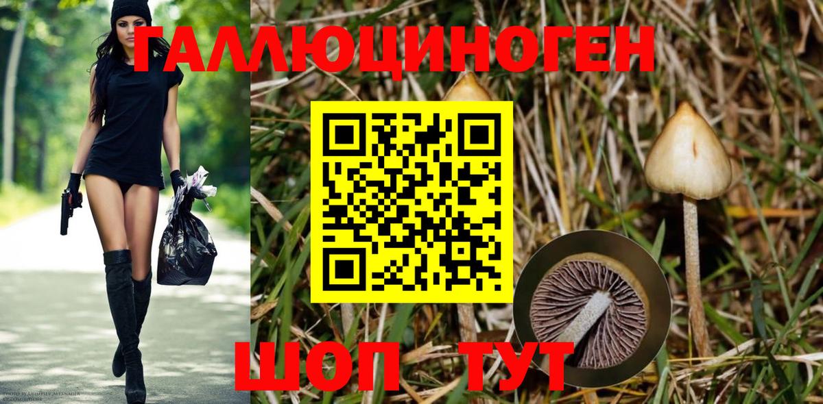 Галлюциногенные грибы Magic Shrooms Шарыпово