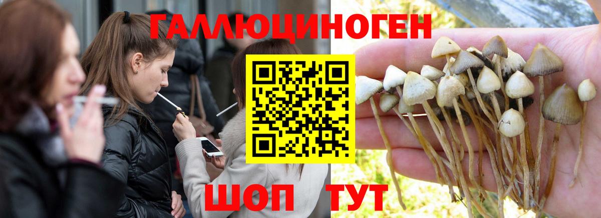 Шарыпово  как найти закладки  Вход с VPN  Галлюциногенные грибы GOLDEN TEACHER  Псилоцибиновые грибы Magic Shrooms 